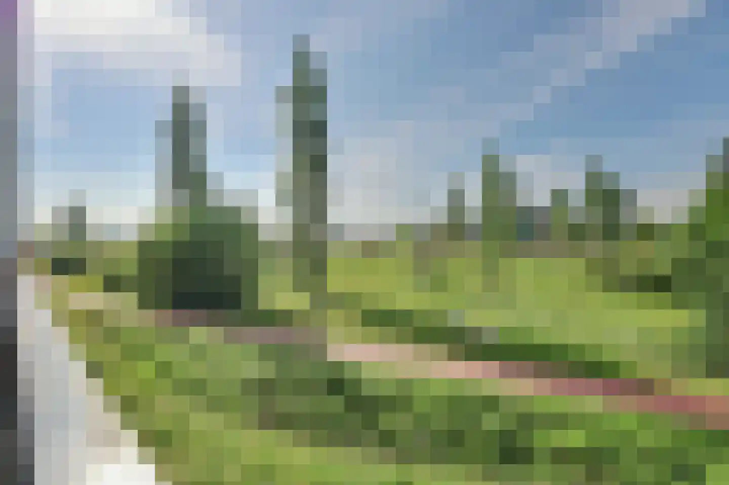 De Gaard 60 Waalwijk thumbnail 5