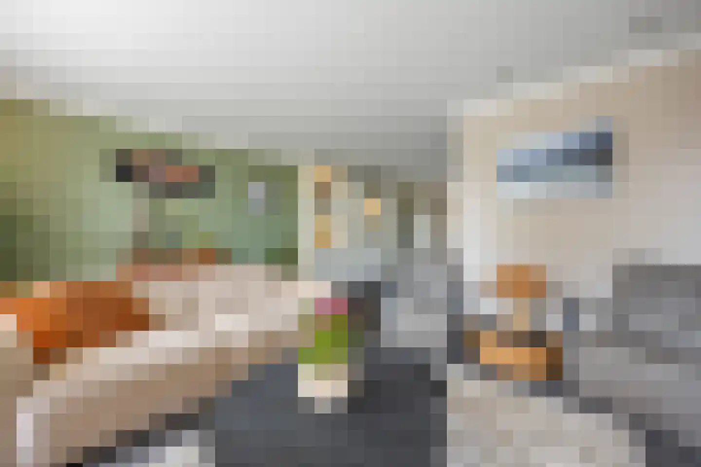 De Gaard 63 Afferden thumbnail 10
