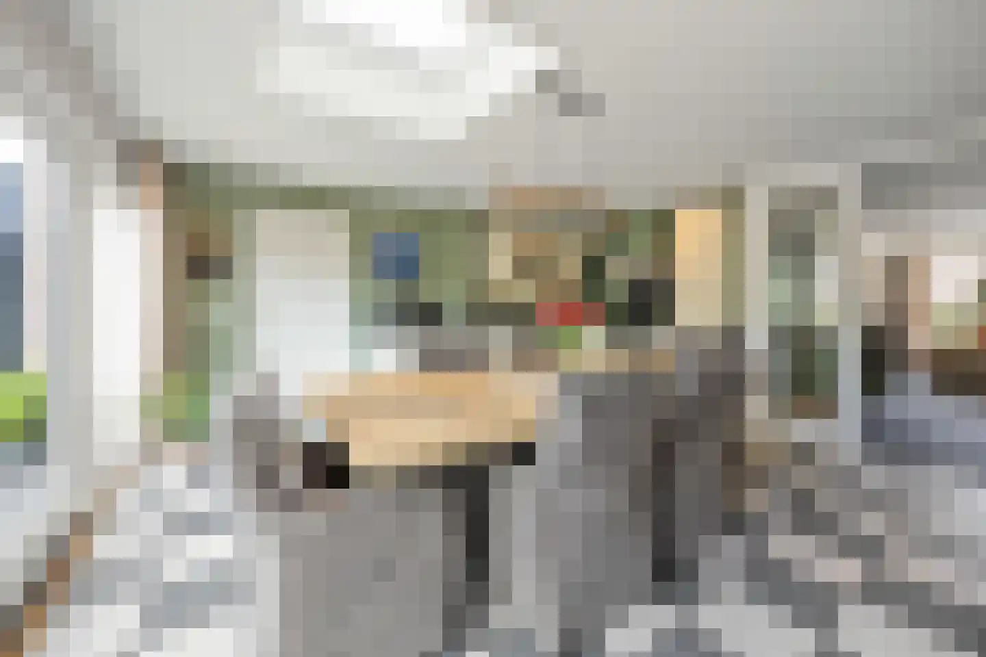 De Gaard 63 Afferden thumbnail 12