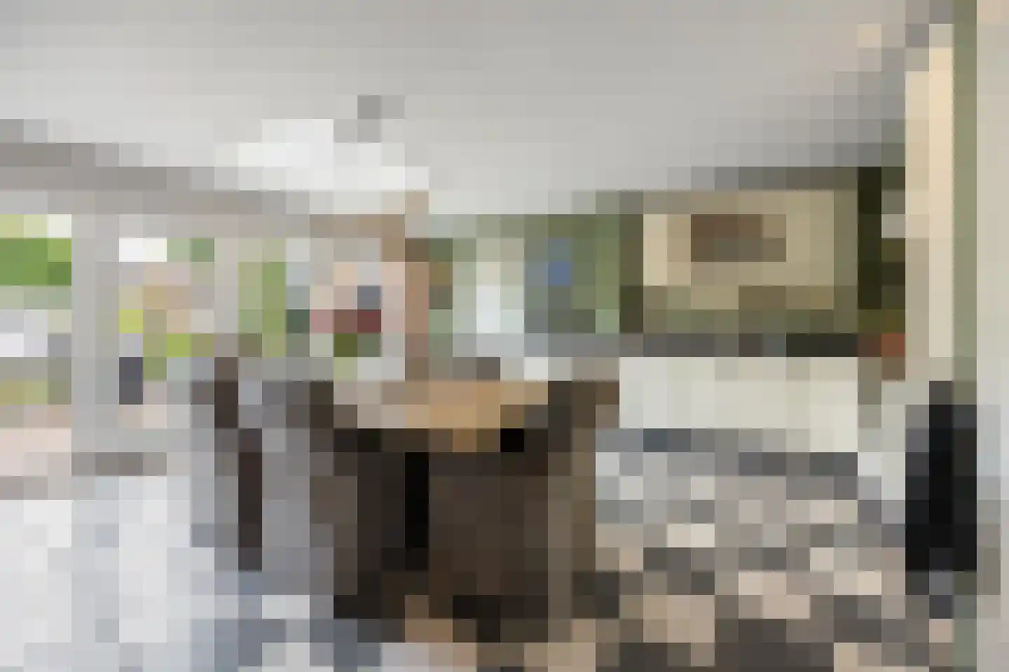 De Gaard 63 Afferden thumbnail 15