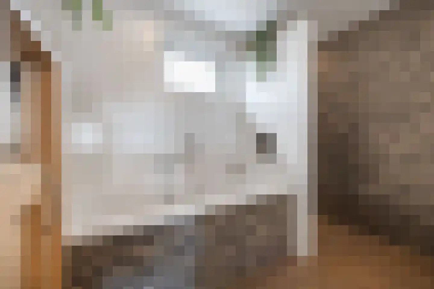 De Gaard 63 Afferden thumbnail 29