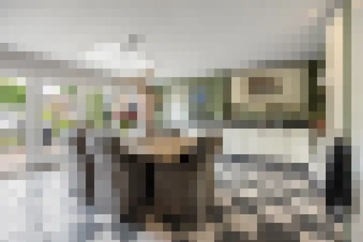De Gaard 63 Afferden foto 3