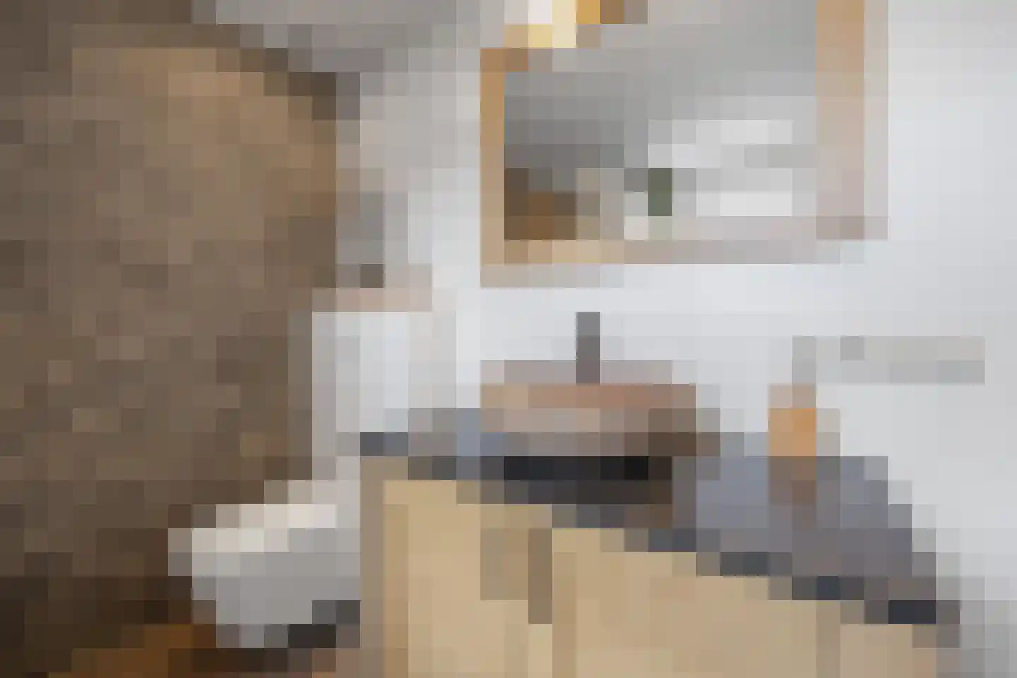 De Gaard 63 Afferden thumbnail 30