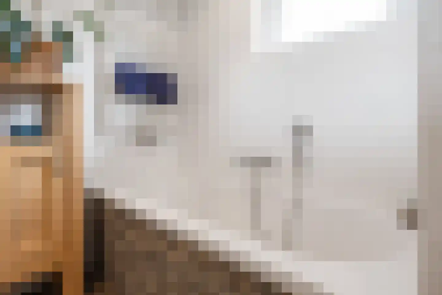 De Gaard 63 Afferden thumbnail 33