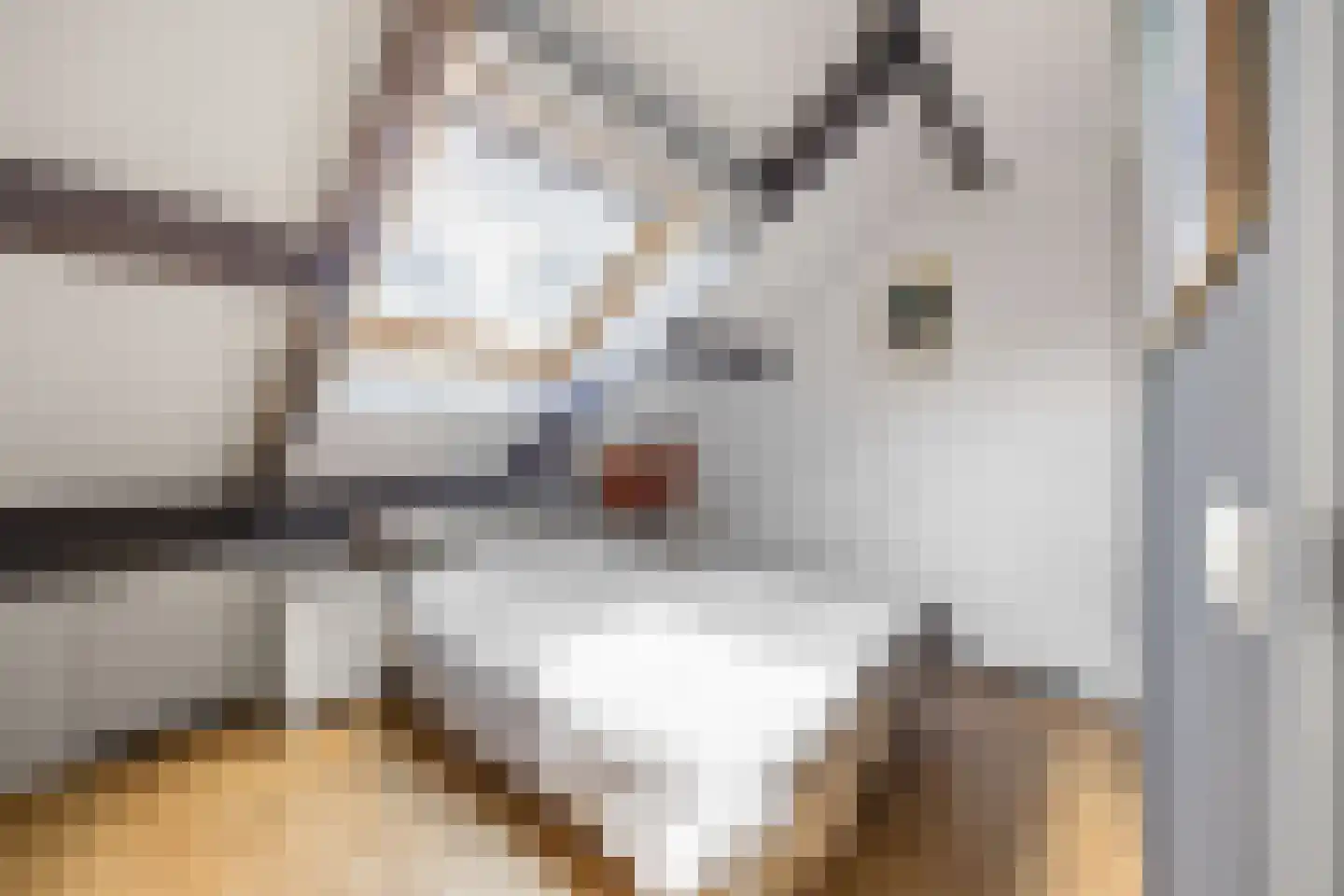 De Gaard 63 Afferden thumbnail 35