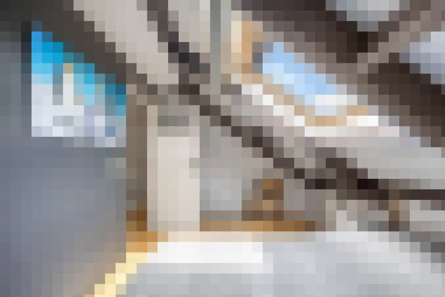 De Gaard 63 Afferden thumbnail 36
