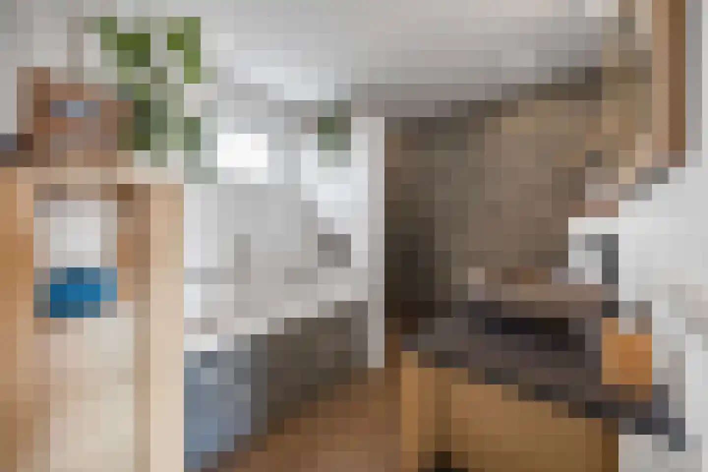De Gaard 63 Afferden thumbnail 4
