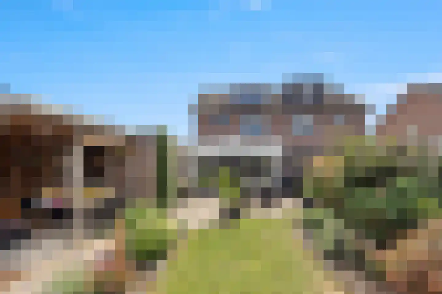 De Gaard 63 Afferden thumbnail 46