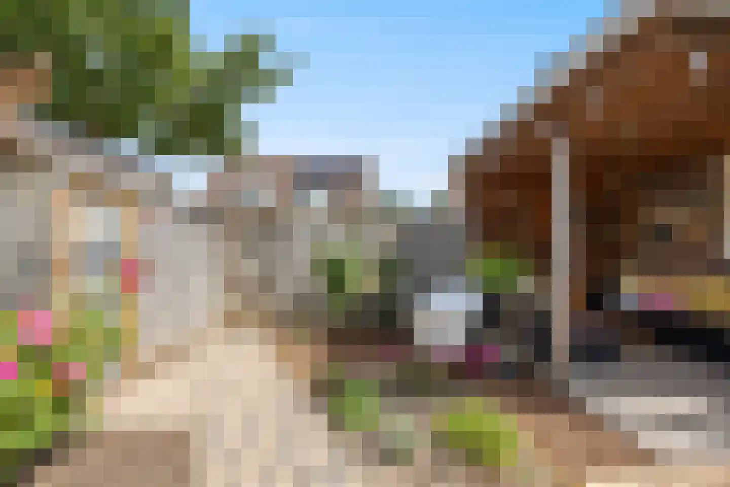 De Gaard 63 Afferden thumbnail 47