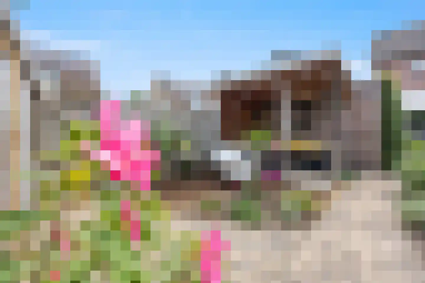 De Gaard 63 Afferden thumbnail 48