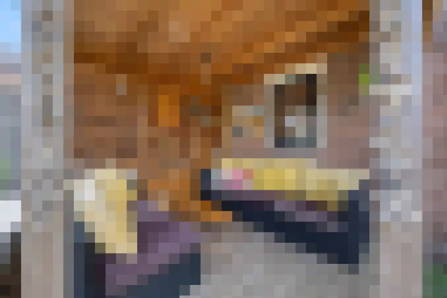 De Gaard 63 Afferden thumbnail 49