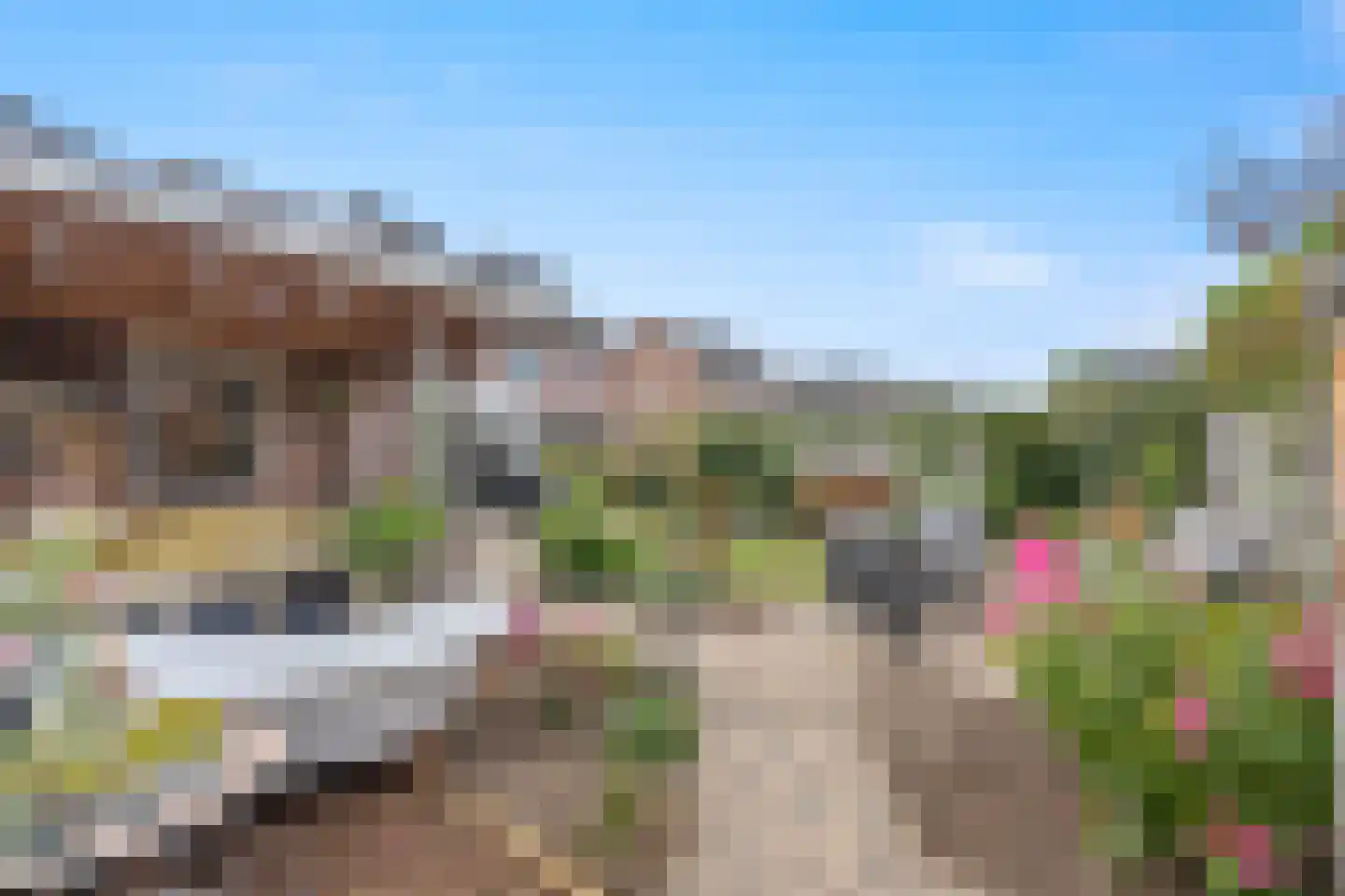De Gaard 63 Afferden thumbnail 50