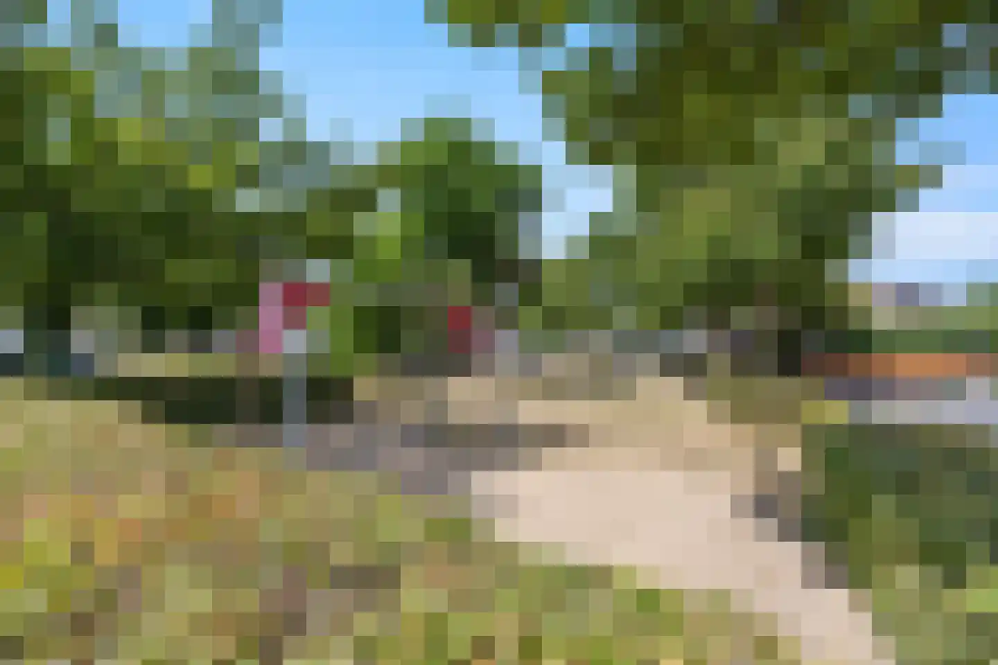 De Gaard 63 Afferden thumbnail 60