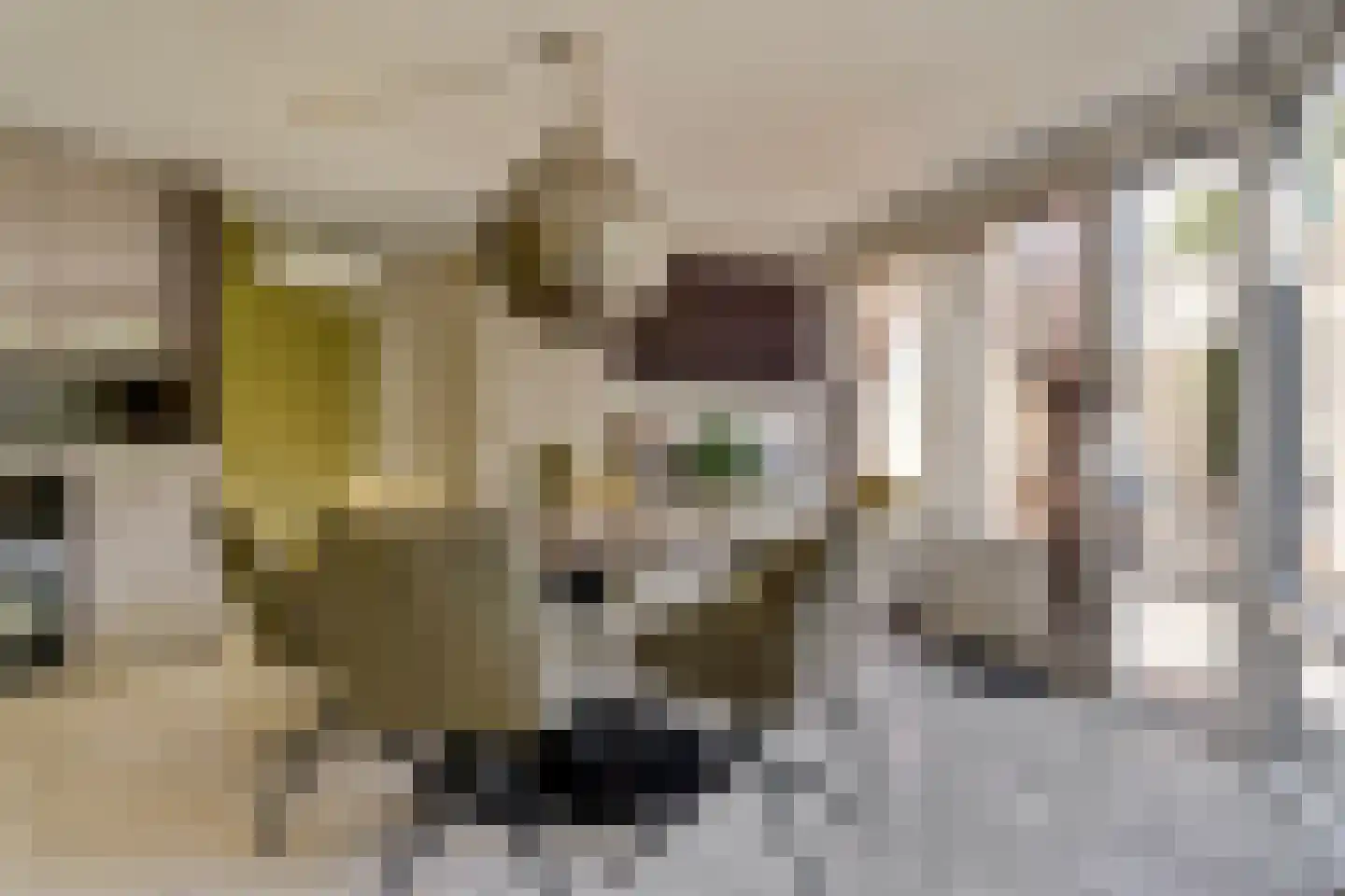 de Gaard 73 Bemmel thumbnail 15