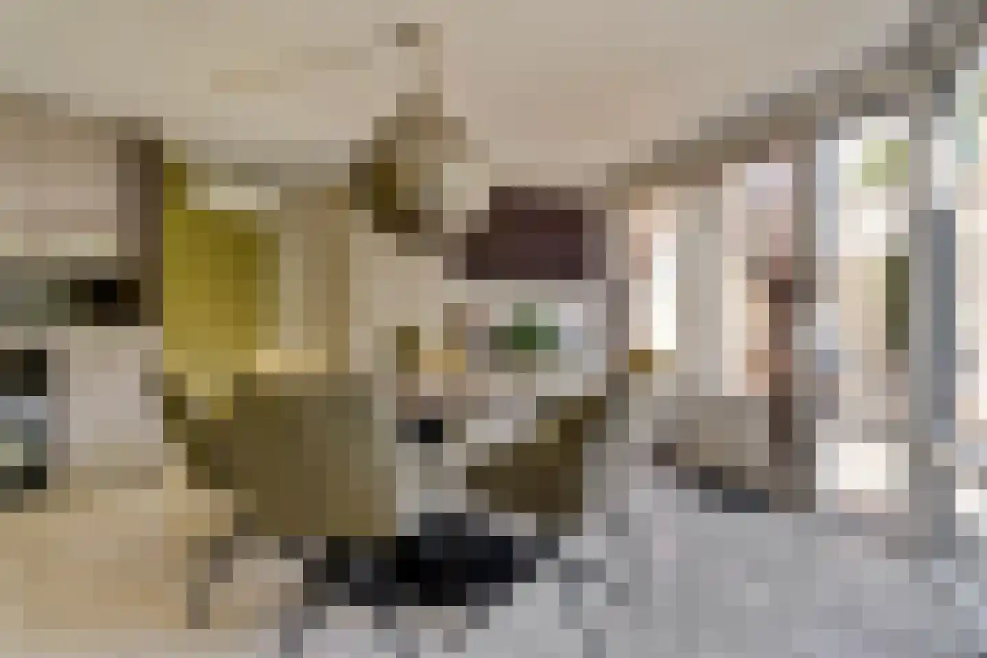 de Gaard 73 Bemmel thumbnail 15
