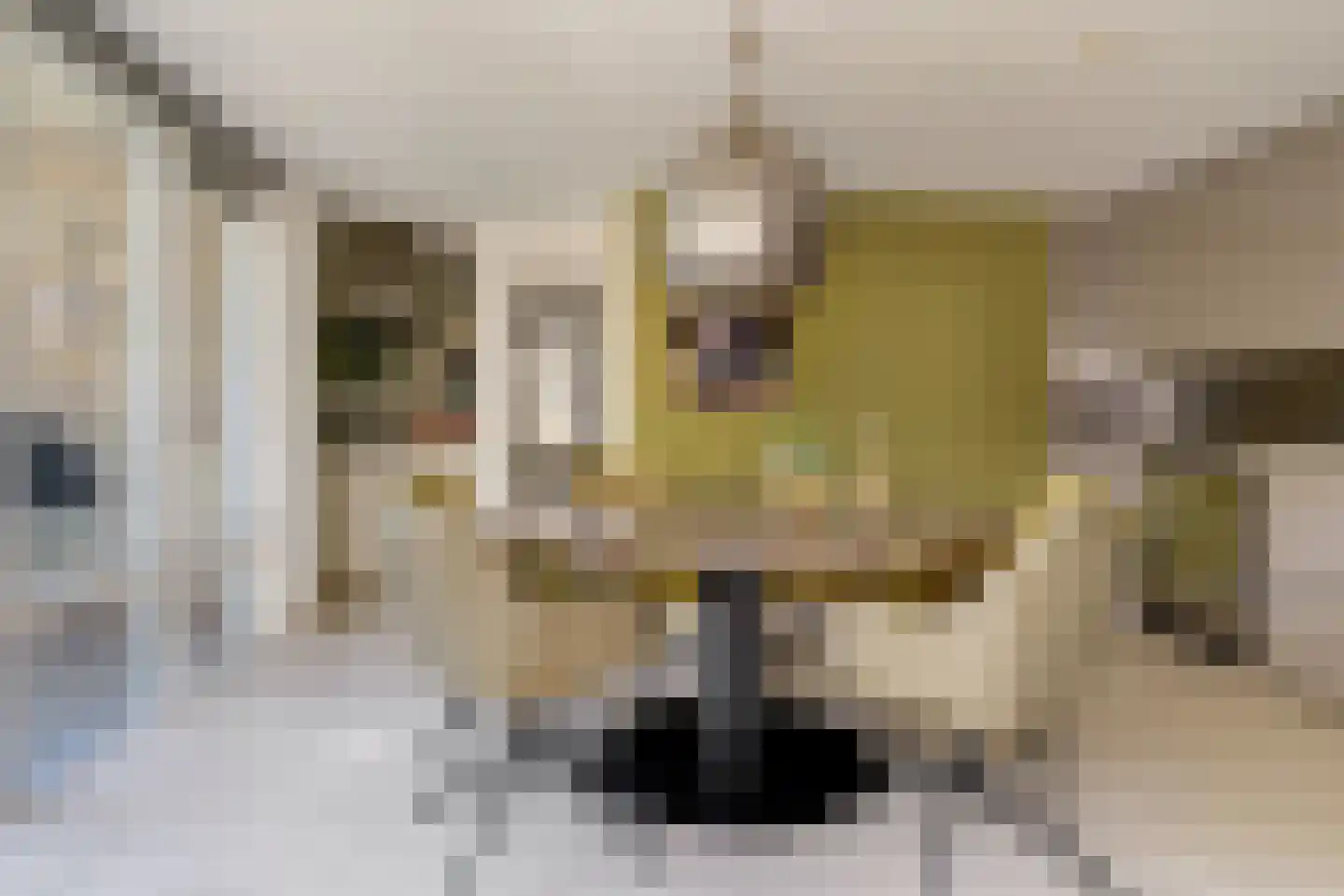 de Gaard 73 Bemmel thumbnail 16