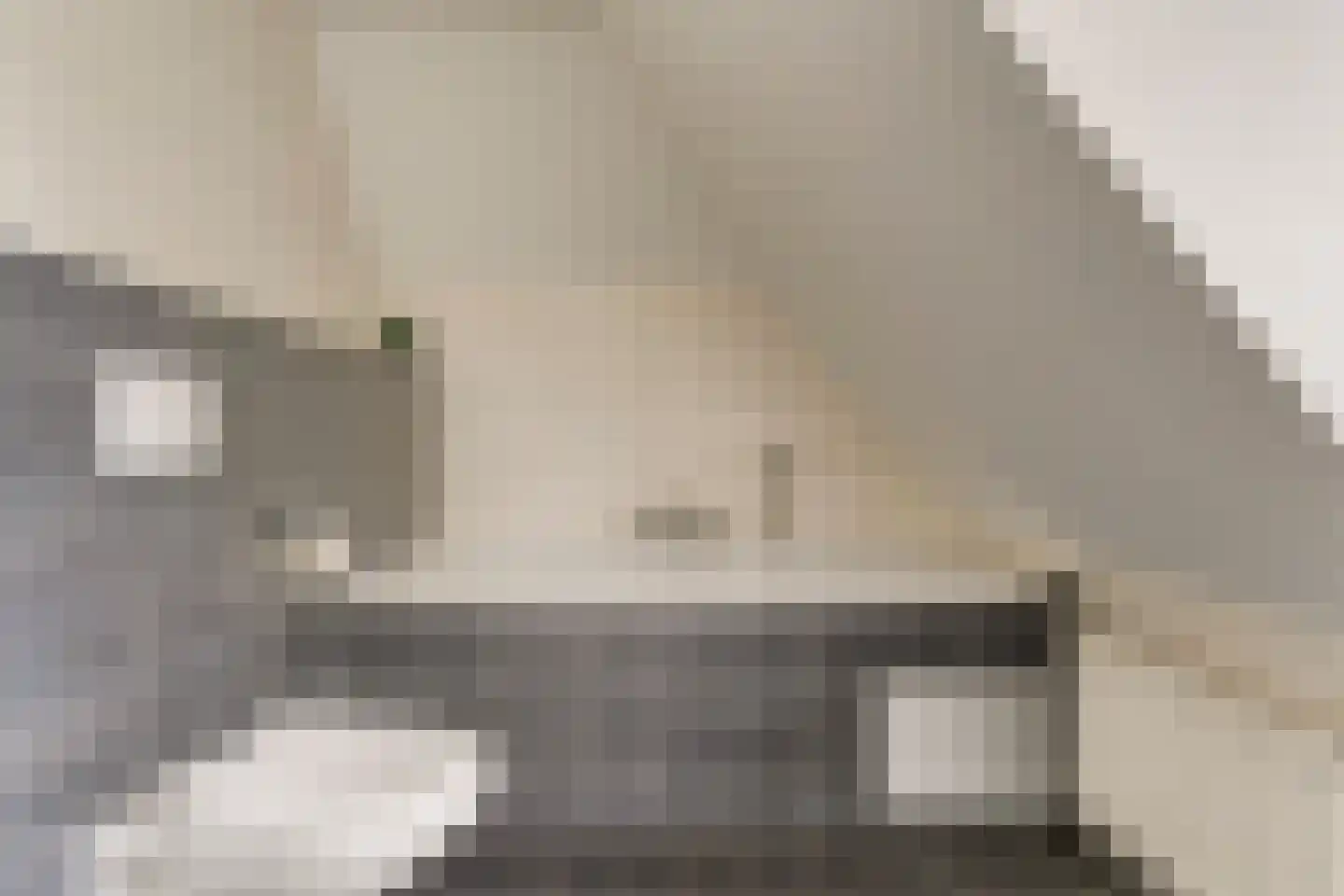 de Gaard 73 Bemmel thumbnail 35