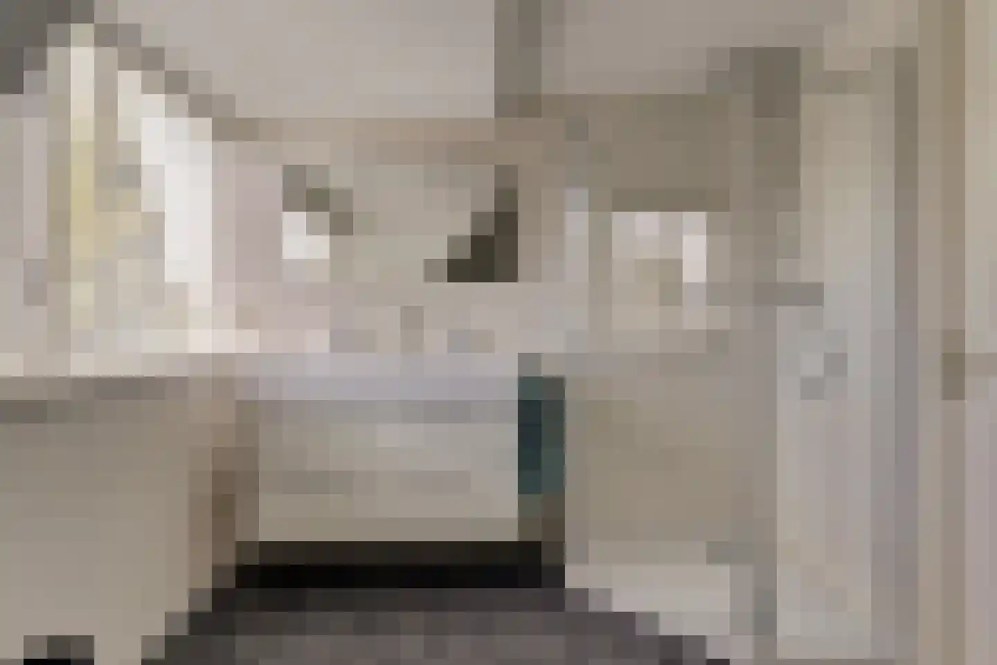 de Gaard 73 Bemmel thumbnail 36