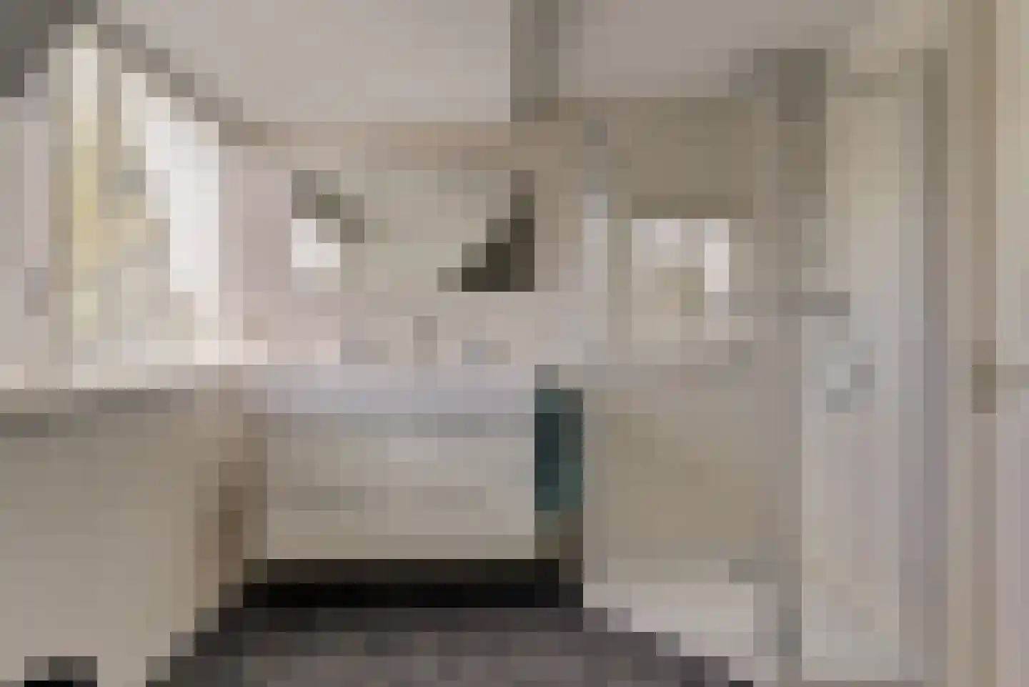 de Gaard 73 Bemmel thumbnail 36