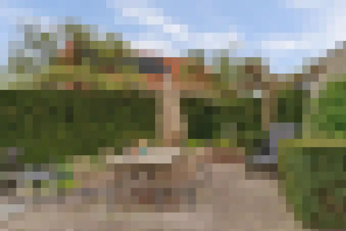 de Gaard 73 Bemmel thumbnail 39