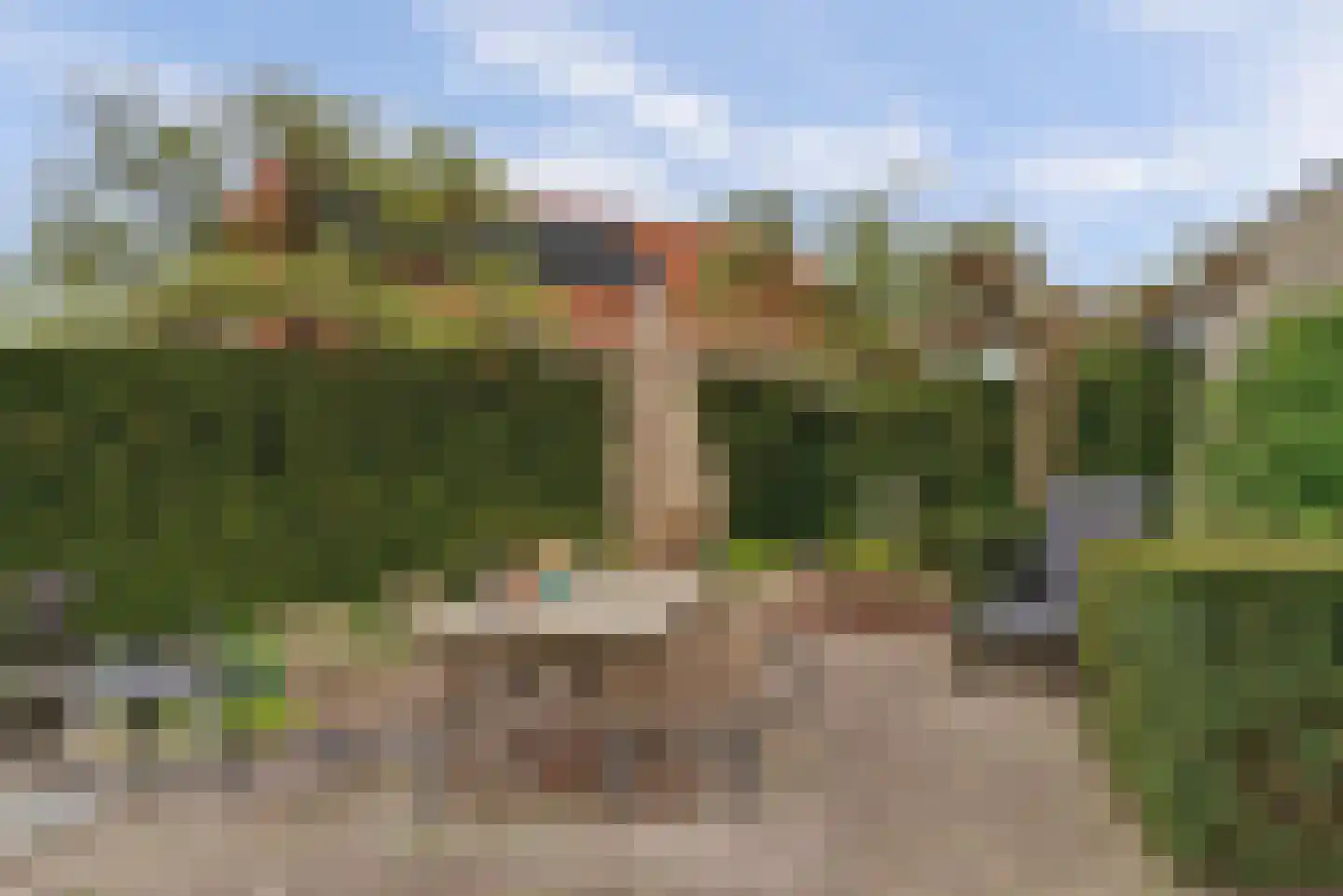 de Gaard 73 Bemmel thumbnail 39