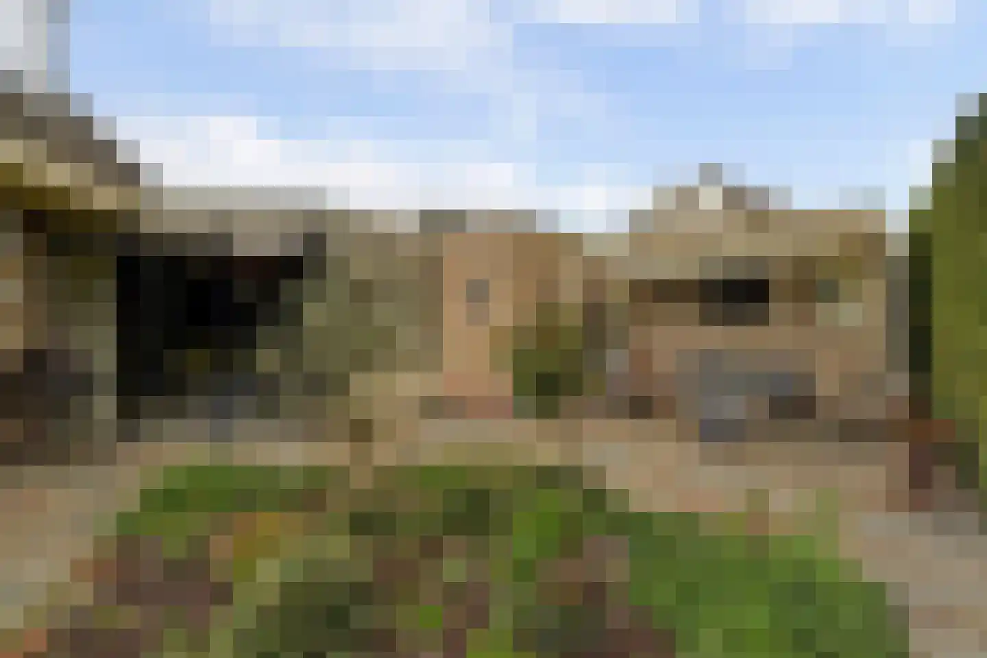de Gaard 73 Bemmel thumbnail 43