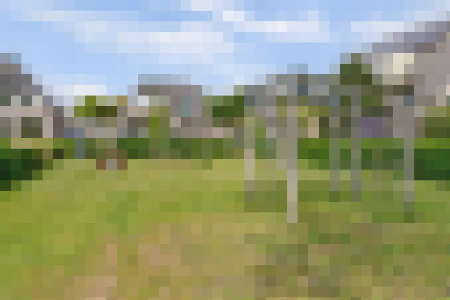 de Gaard 73 Bemmel thumbnail 46