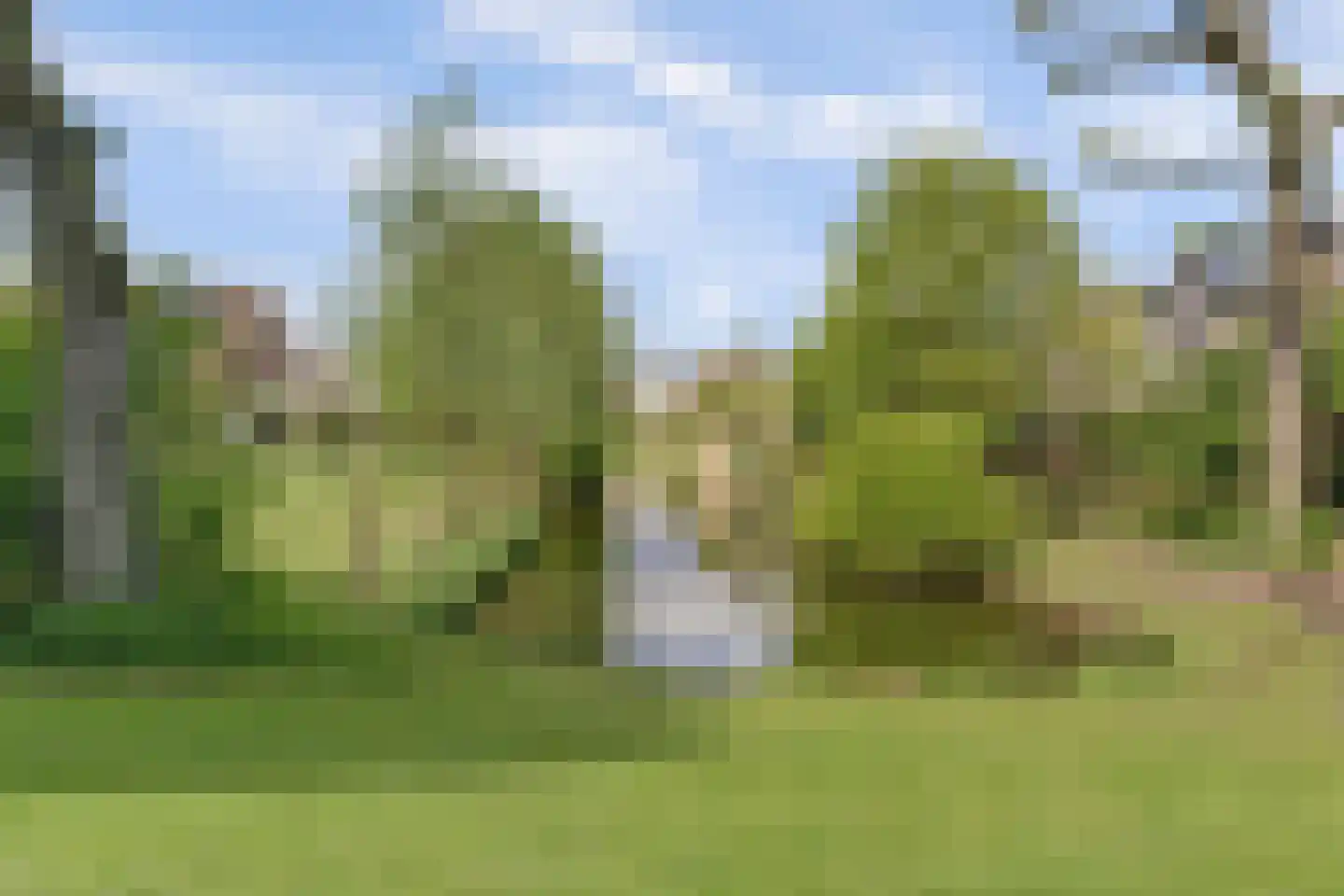 de Gaard 73 Bemmel thumbnail 47