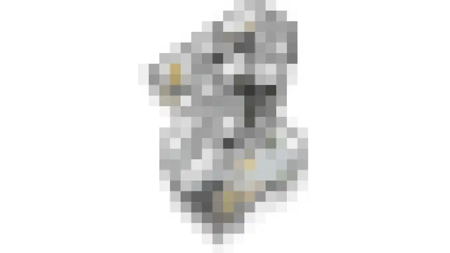 de Gaard 73 Bemmel thumbnail 50