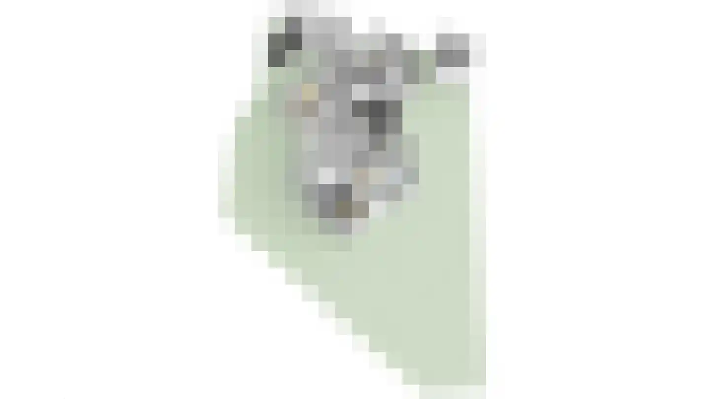 de Gaard 73 Bemmel thumbnail 56