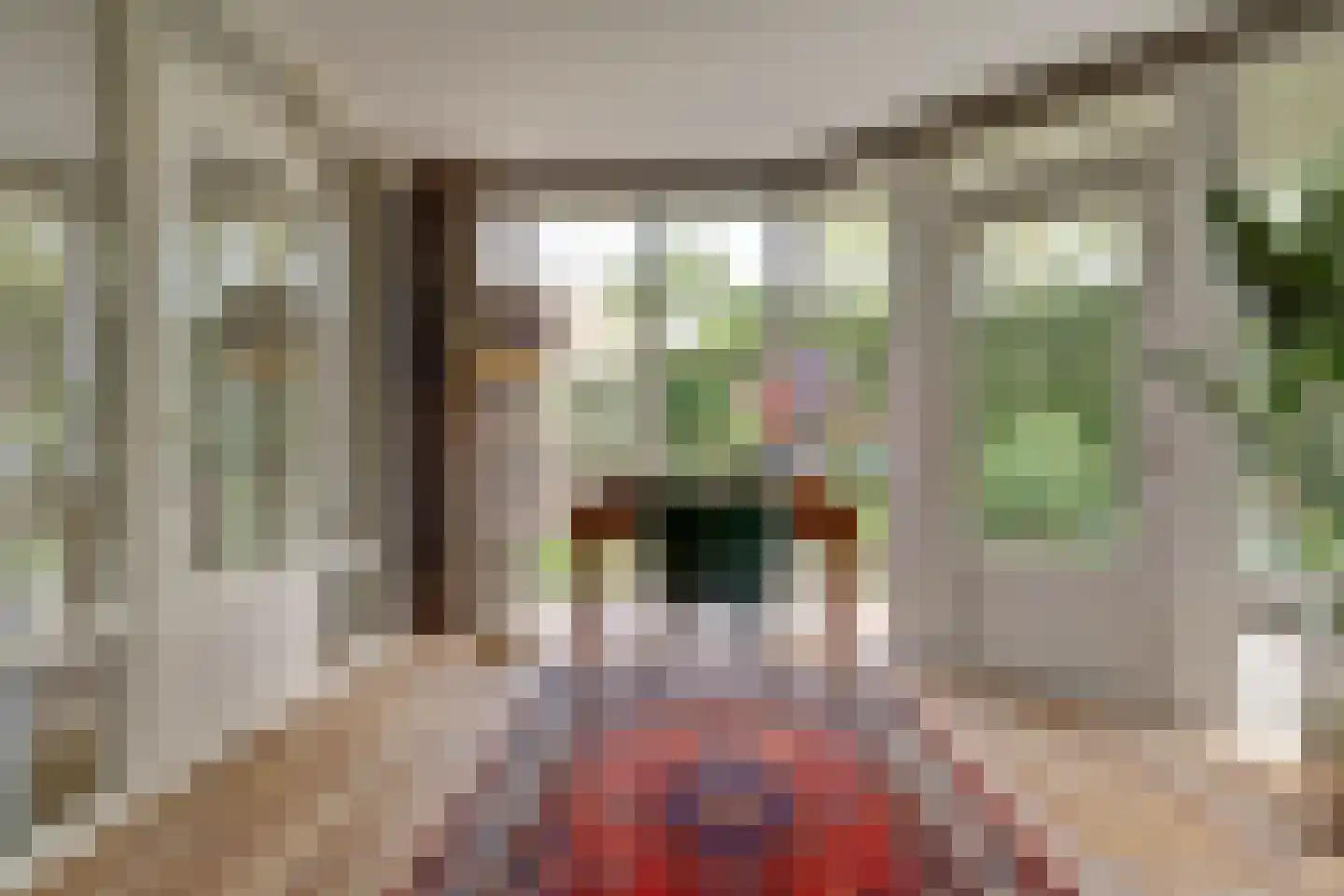 de Gaard 73 Bemmel thumbnail 7