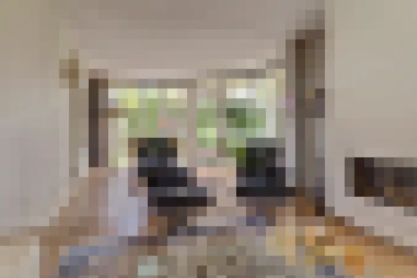 de Gaard 73 Bemmel thumbnail 9