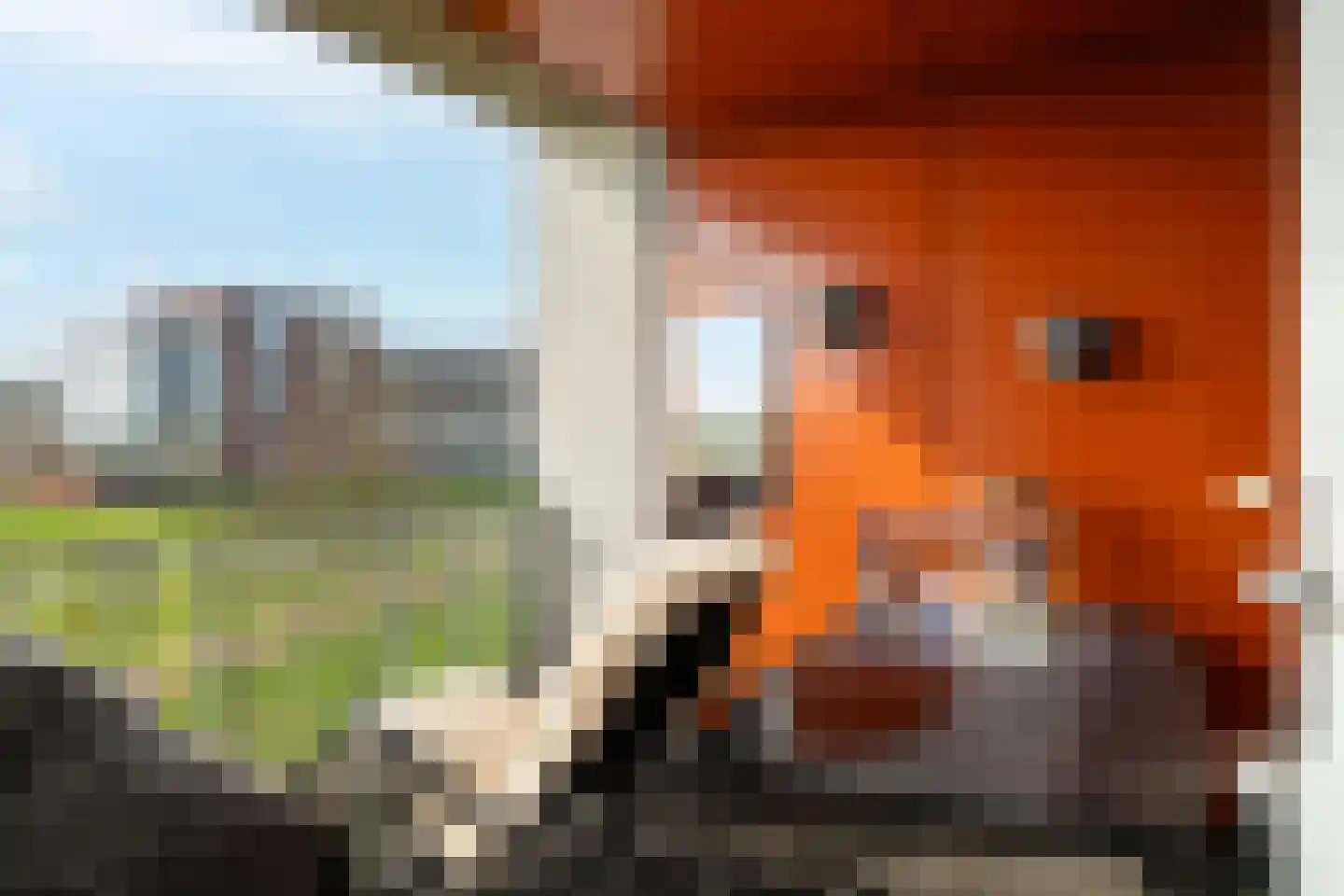 De Gaard 88 Waalwijk thumbnail 12