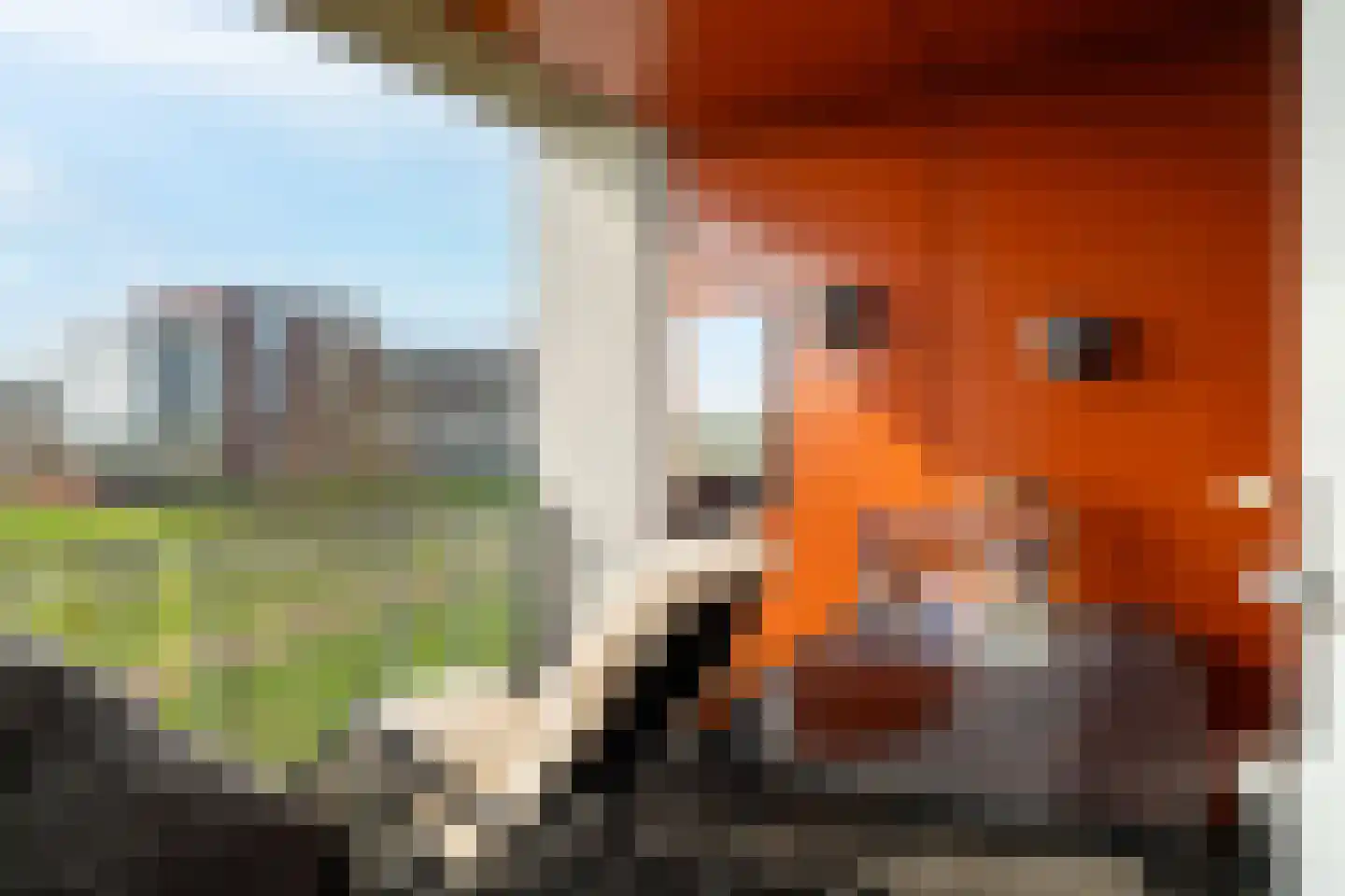De Gaard 88 Waalwijk thumbnail 15