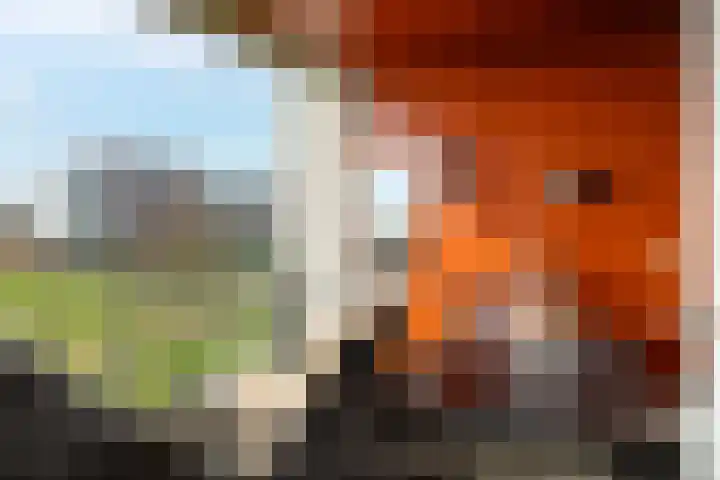De Gaard 88 Waalwijk thumbnail 15