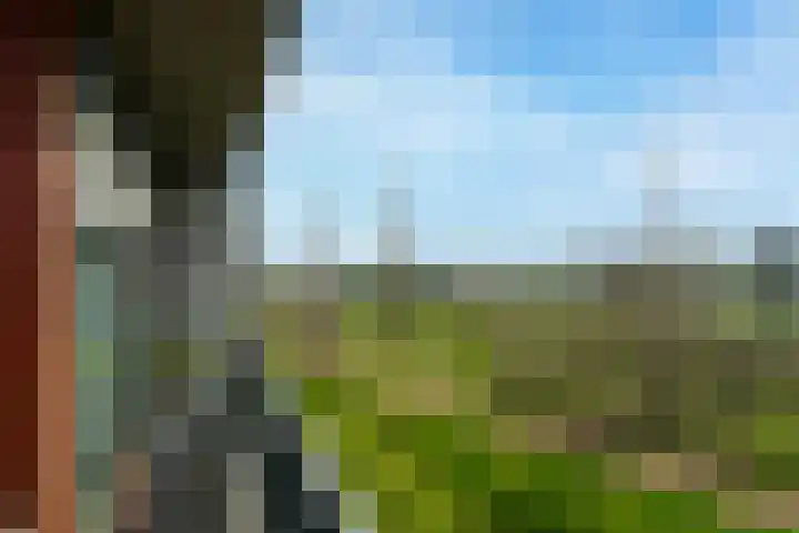 De Gaard 88 Waalwijk thumbnail 16