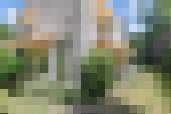 De Gaard 88 Waalwijk thumbnail 6