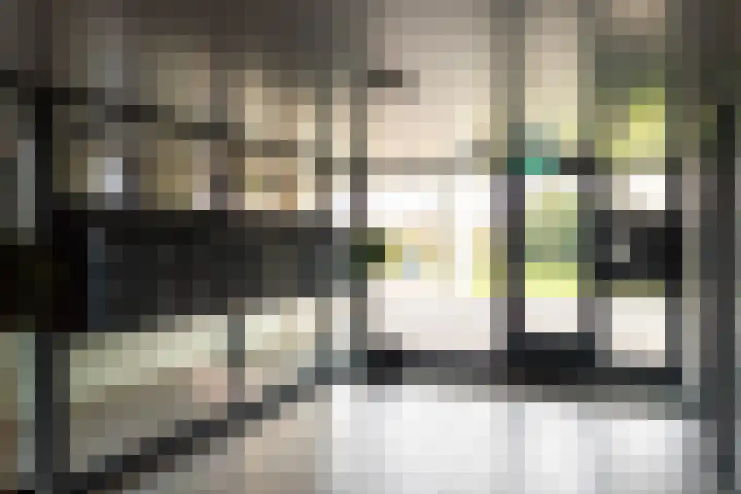 De Gaard 88 Waalwijk thumbnail 7