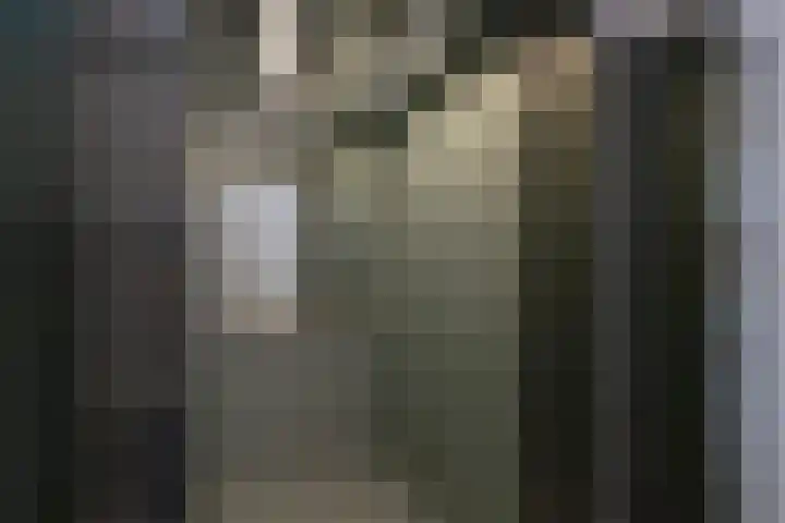 De Gaard 88 Waalwijk thumbnail 8