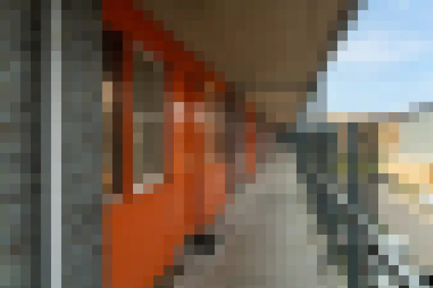 De Gaard 88 Waalwijk thumbnail 9