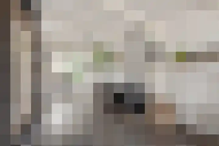 de Gaard 9 Bemmel thumbnail 10