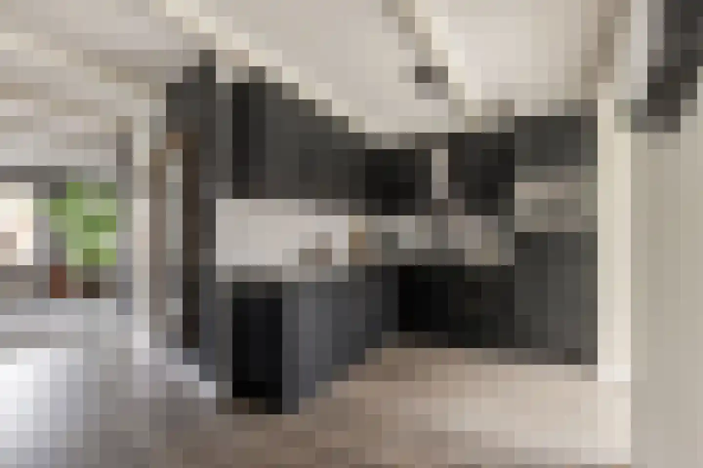 de Gaard 9 Bemmel thumbnail 12