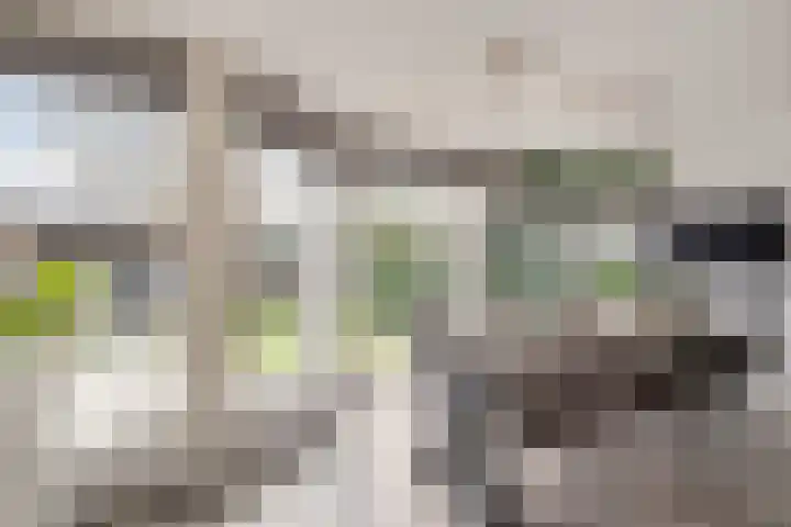 de Gaard 9 Bemmel thumbnail 13