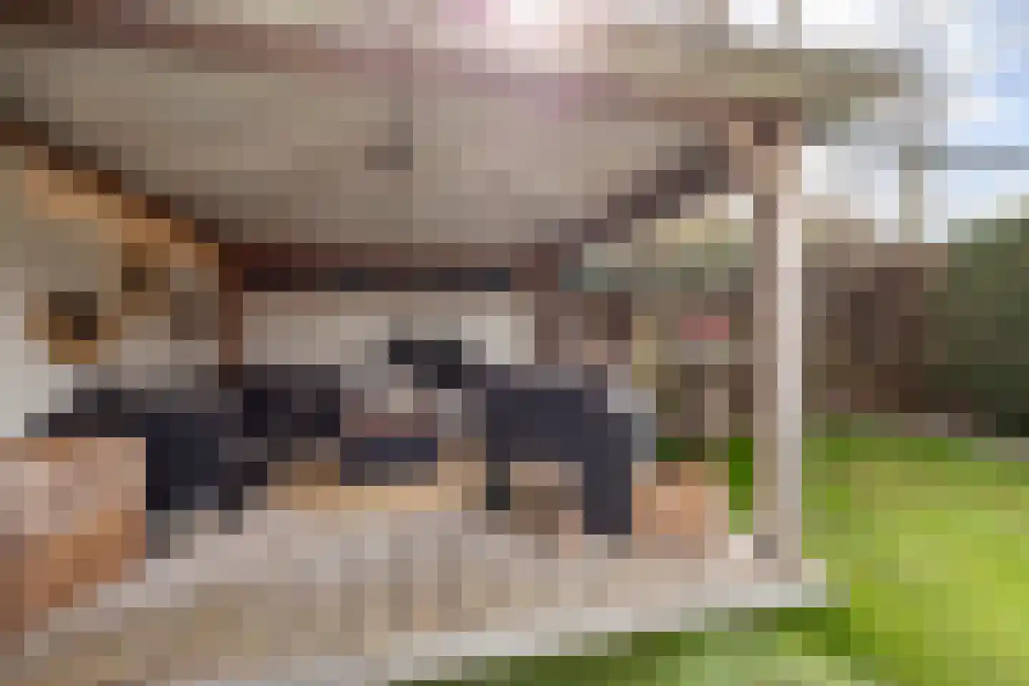 de Gaard 9 Bemmel thumbnail 15