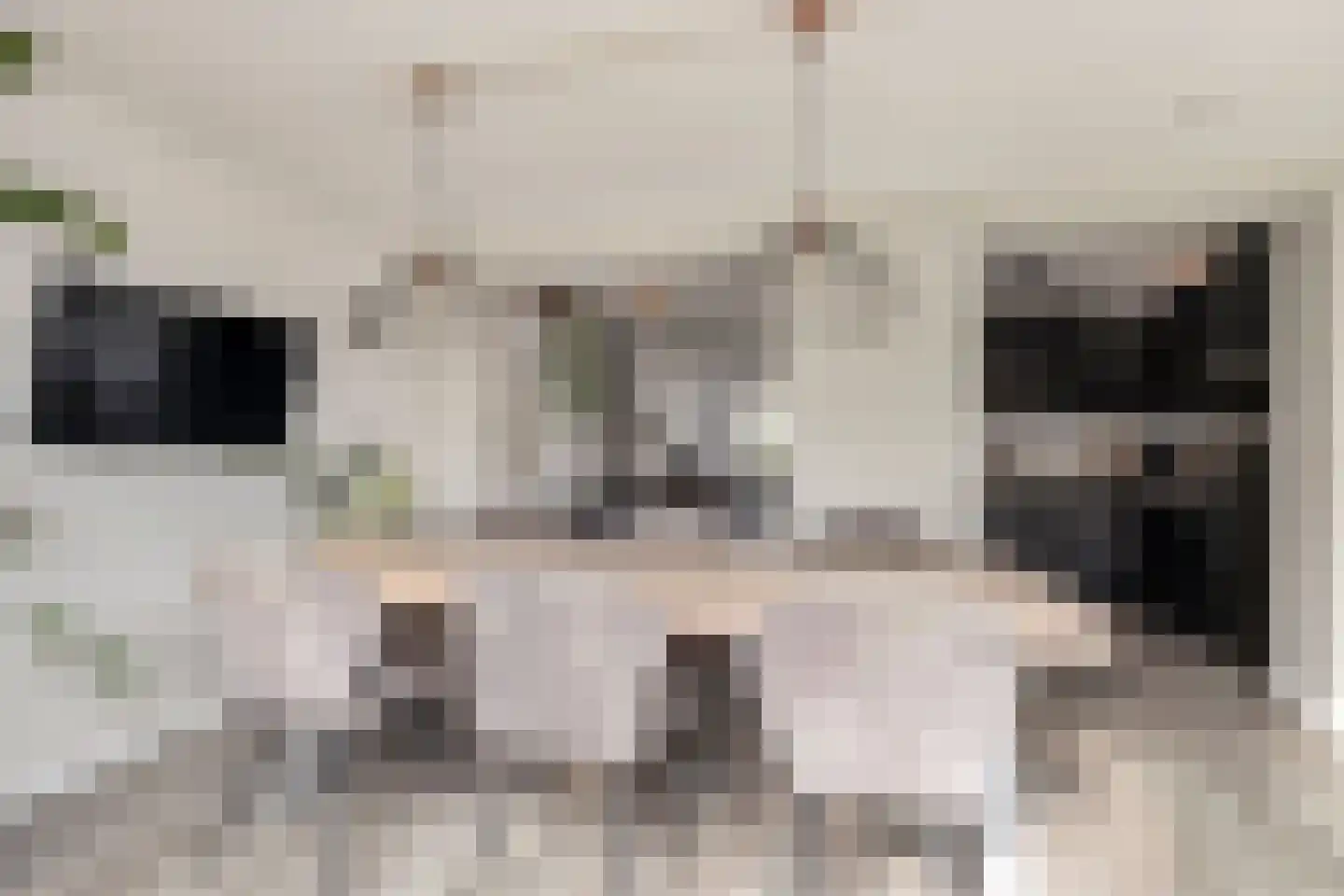 de Gaard 9 Bemmel thumbnail 18