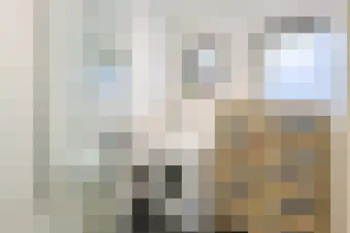 de Gaard 9 Bemmel thumbnail 18