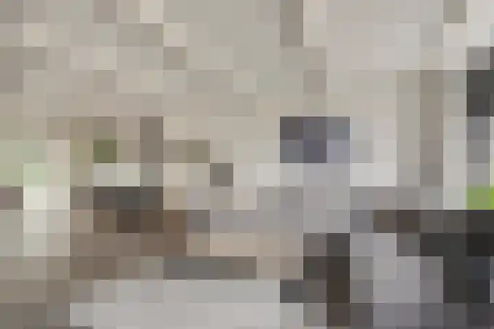 de Gaard 9 Bemmel foto 2