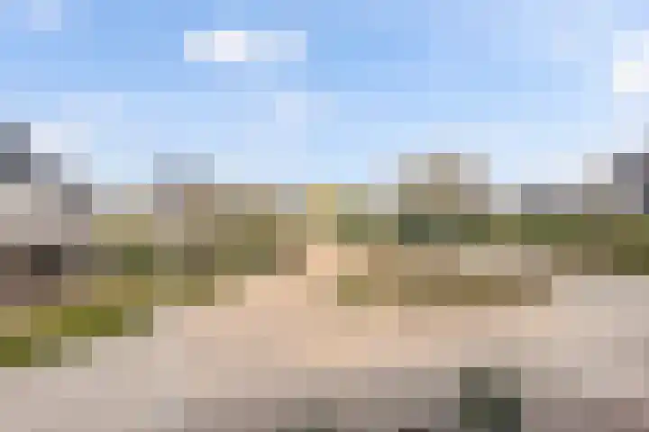 de Gaard 9 Bemmel thumbnail 25