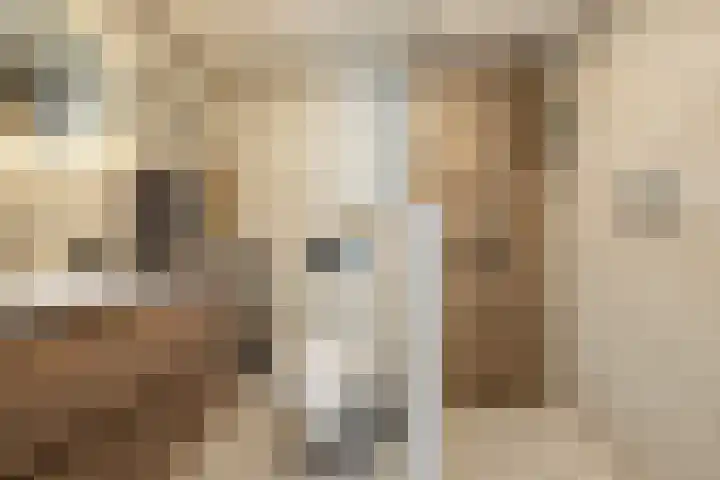 de Gaard 9 Bemmel thumbnail 26