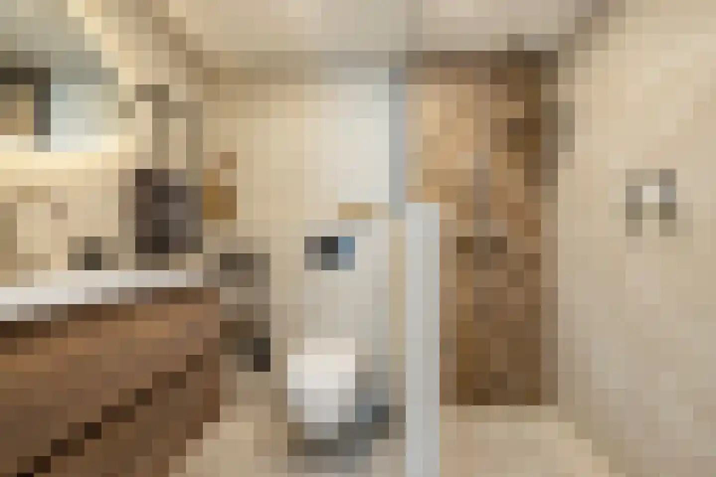 de Gaard 9 Bemmel thumbnail 26